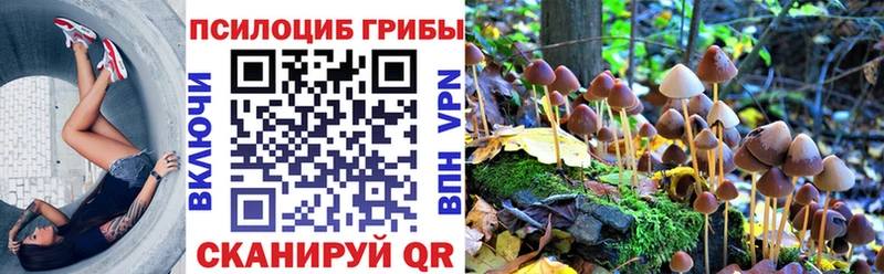 Галлюциногенные грибы мицелий Феодосия